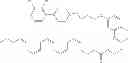 Fig. 1379 - Prodrugs of NH-acidic compounds