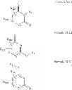 Fig. 1459 - Prodrugs of NH-acidic compounds