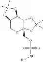 Fig. 1576 - Prodrugs of NH-acidic compounds