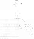 Fig. 1638 - Prodrugs of NH-acidic compounds