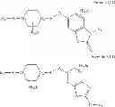 Fig. 1678 - Prodrugs of NH-acidic compounds