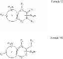 Fig. 541 - Prodrugs of NH-acidic compounds