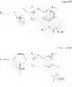 Fig. 571 - Prodrugs of NH-acidic compounds