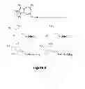 Fig. 08 - Modified polyaromatic hydrocarbons and polyheterocyclics for optoelectronics