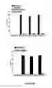 Fig. 06 - Inhibition of cell proliferation