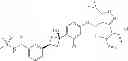 Fig. 23 - FXR (NR1H4) binding and activity modulating compounds