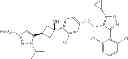 Fig. 26 - FXR (NR1H4) binding and activity modulating compounds