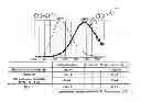 Fig. 01 - Luminescent substrate for luciferase