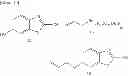Fig. 22 - Luminescent substrate for luciferase