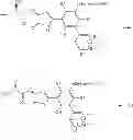 Fig. 22 - Factor VIIa inhibitor