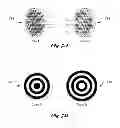 Fig. 09 - Self Assembly of In-Vivo Capsule System