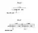 Fig. 07 - Endoscope system and image generation method to generate images associated with irregularities of a subject