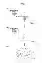 Fig. 09 - Endoscope system and image generation method to generate images associated with irregularities of a subject