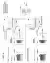 Fig. 07 - Devices, systems, and methods for virtual staining