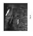 Fig. 22 - Optical coherence tomography probe