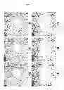 Fig. 13 - ENHANCED OPTICAL ANGIOGRAPHY USING INTENSITY CONTRAST AND PHASE CONTRAST IMAGING METHODS
