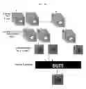 Fig. 16 - ENHANCED OPTICAL ANGIOGRAPHY USING INTENSITY CONTRAST AND PHASE CONTRAST IMAGING METHODS