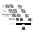 Fig. 17 - ENHANCED OPTICAL ANGIOGRAPHY USING INTENSITY CONTRAST AND PHASE CONTRAST IMAGING METHODS