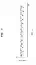 Fig. 07 - BIOLOGICAL INFORMATION DETECTING DEVICE, BIOLOGICAL INFORMATION DETECTING METHOD, AND BIOLOGICAL INFORMATION DETECTION PROGRAM
