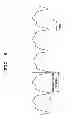 Fig. 09 - BIOLOGICAL INFORMATION DETECTING DEVICE, BIOLOGICAL INFORMATION DETECTING METHOD, AND BIOLOGICAL INFORMATION DETECTION PROGRAM