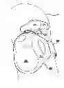 Fig. 01 - WEARABLE APPARATUS TO DETECT PULSE TRANSIT TIME