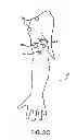Fig. 04 - WEARABLE APPARATUS TO DETECT SLEEP STAGE INFORMATION OF AN INDIVIDUAL