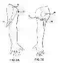 Fig. 05 - WEARABLE APPARATUS TO DETECT SLEEP STAGE INFORMATION OF AN INDIVIDUAL