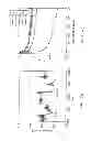 Fig. 03 - Detection of H. Pylori Utilizing Unlabeled Urea