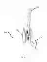 Fig. 19 - Brace For Unloading Of Medial Or Lateral Joint