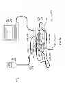 Fig. 43 - System and Method for Delivery of Regional Citrate Anticoagulation to Extracorporeal Blood Circuits