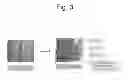 Fig. 04 - Method for acne treatment using an oxidative-photoactivated composition