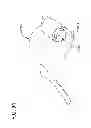 Fig. 84 - Packaged body adhering absorbent article
