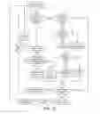 Fig. 09 - SYSTEMS AND METHODS FOR LOCAL DRUG DELIVERY TO KIDNEYS