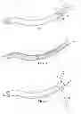 Fig. 03 - Surgical instrument for manipulating and passing suture