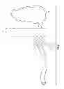 Fig. 10 - Surgical instrument for manipulating and passing suture
