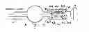 Fig. 01 - Surgical device for controlled anchoring in the intestine