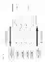 Fig. 08 - Locally reversible barbed sutures