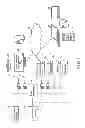 Fig. 03 - ELECTRONIC APPARATUS, AND CONTROL METHOD AND CONTROL PROGRAM OF THE SAME