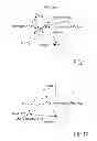 Fig. 07 - Method of assisting piloting an aircraft by adapting the display of symbols