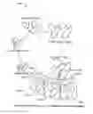 Fig. 01 - System and method for generating enhanced density distribution in a three dimensional model of a structure for use in skeletal assessment using a limited number of two dimensional views