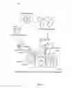 Fig. 05 - System and method for generating enhanced density distribution in a three dimensional model of a structure for use in skeletal assessment using a limited number of two dimensional views