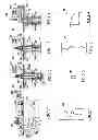 Fig. 02 - System and method for performing downhole stimulation operations