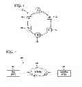 Fig. 02 - System and method of providing an automated data-collection in spoken dialog systems