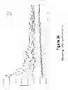 Fig. 33 - SYSTEMS AND METHODS FOR IMPROVING MEDICAL TREATMENTS