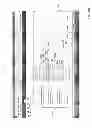 Fig. 09 - DRUG LABELING TOOL