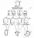 Fig. 01 - Creation and distribution of reveal-based modular advertising units