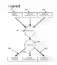 Fig. 09 - Customized credit reporting system