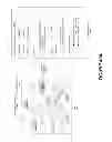 Fig. 45 - COMMUNITY BASED CHARACTER EXPRESSION IN A GEO-SPATIAL ENVIRONMENT