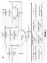 Fig. 06 - Systems and methods for encrypting location broadcasts