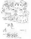 Fig. 01 - PREDICTIVE PAIRING AND/OR MATCHING SYSTEMS, APPARATUS, AND METHODS